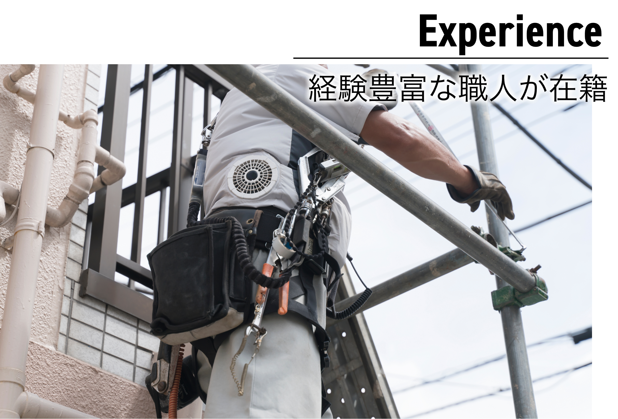 多くの現場を乗り越えてきたプロ集団経験豊富な職人が、期待に応える施工を実現